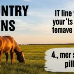 country puns